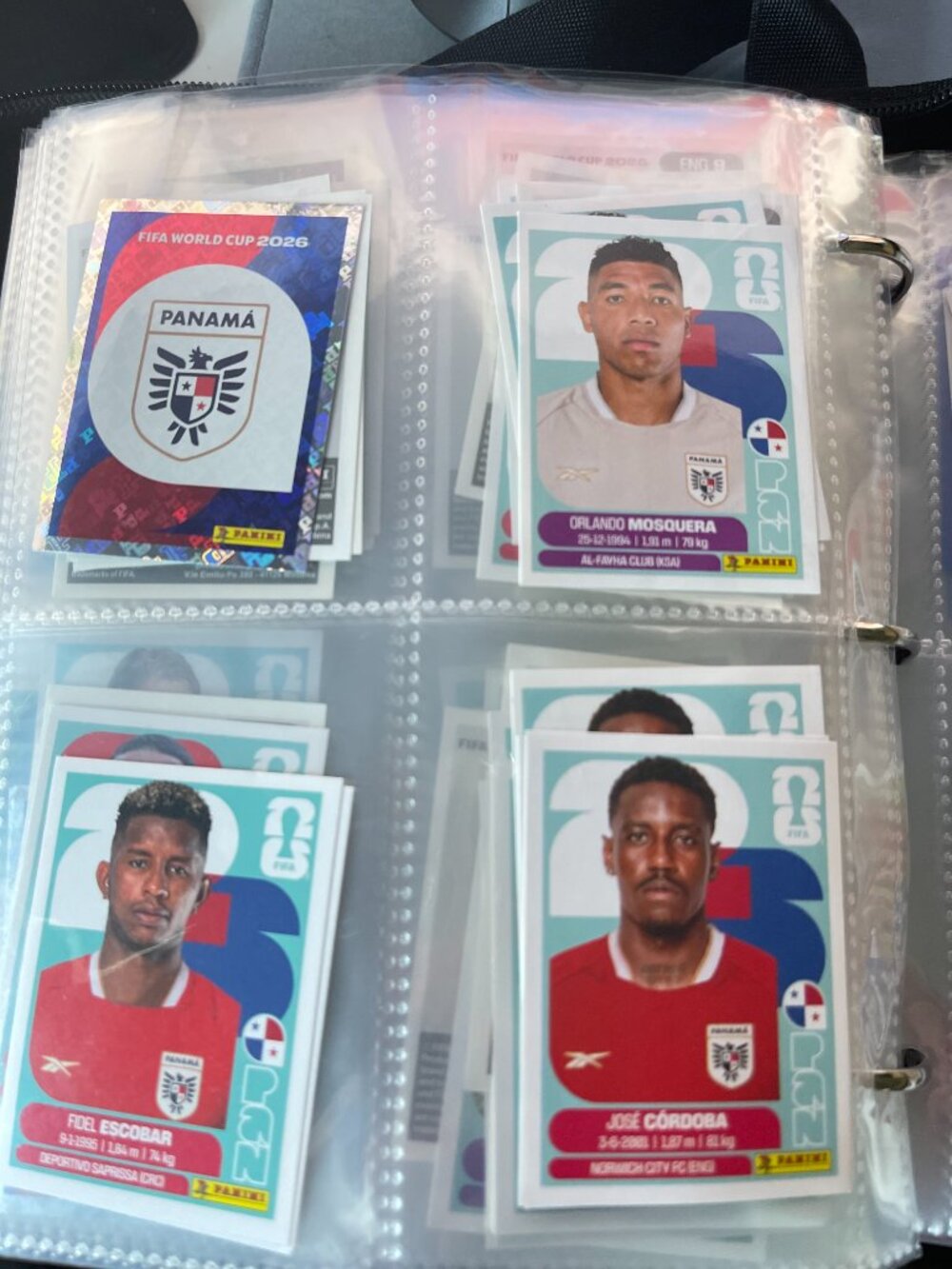Panini Football Player Sticker - Picture 8 of 16